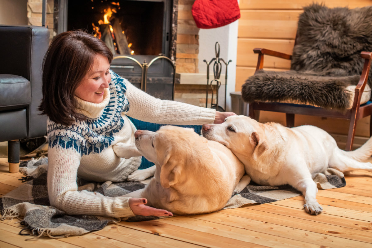 Vacanze con il cane - chalet in agriturismo