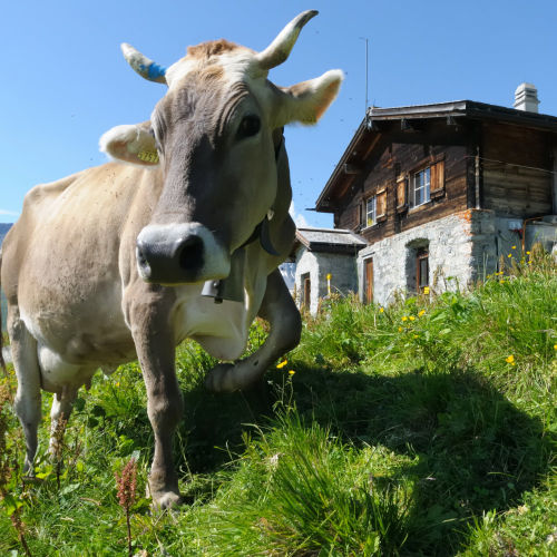 Chalet in agriturismo