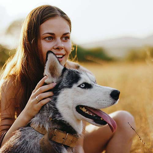 Chalet di lusso con cane