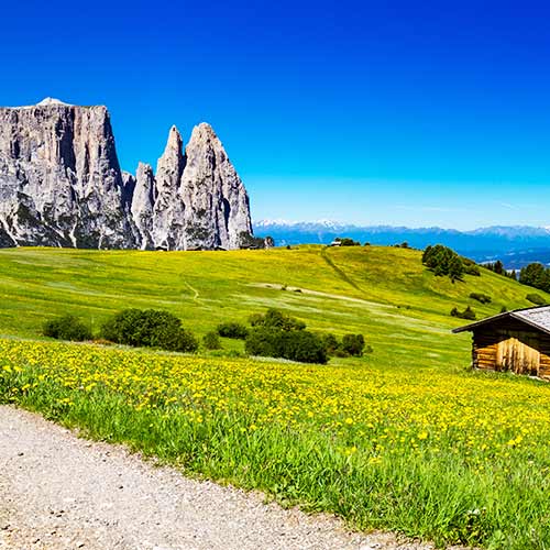 Alpe di Siusi