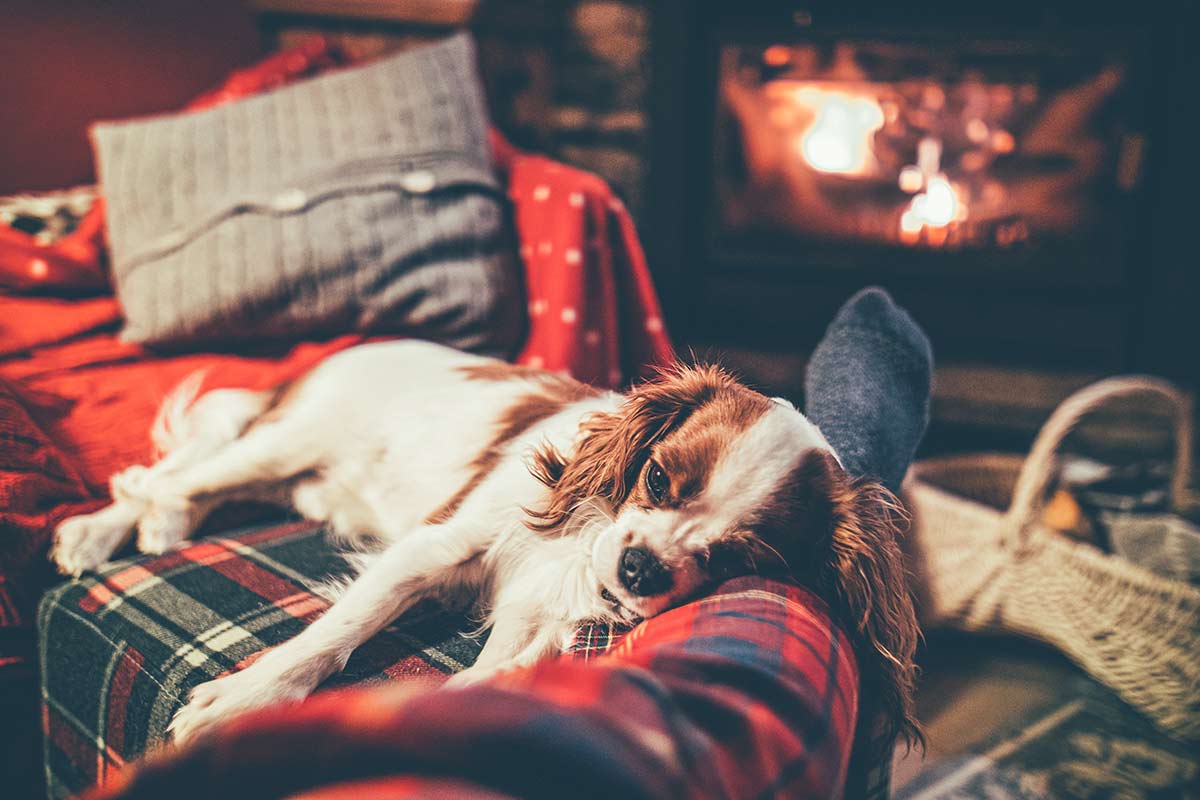 Fuoco aperto - Chalet di lusso con cane