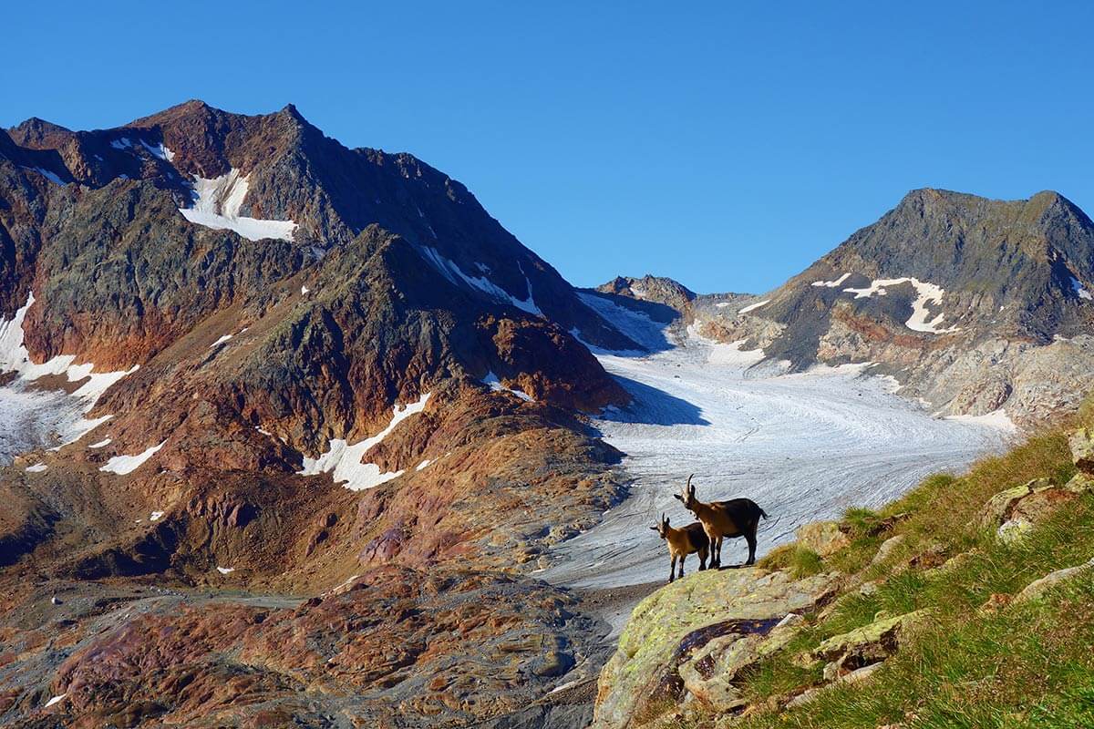 Escursioni e natura nei dintorni di Racines