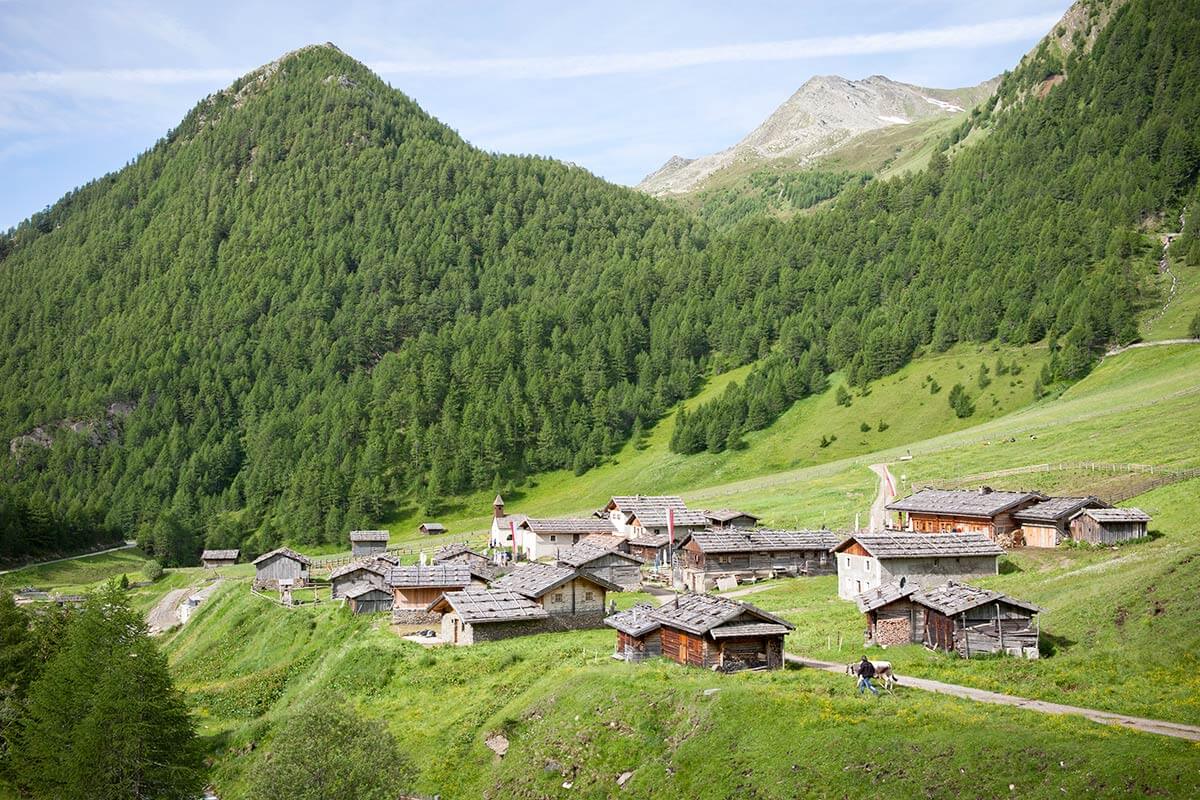 Malga Fane