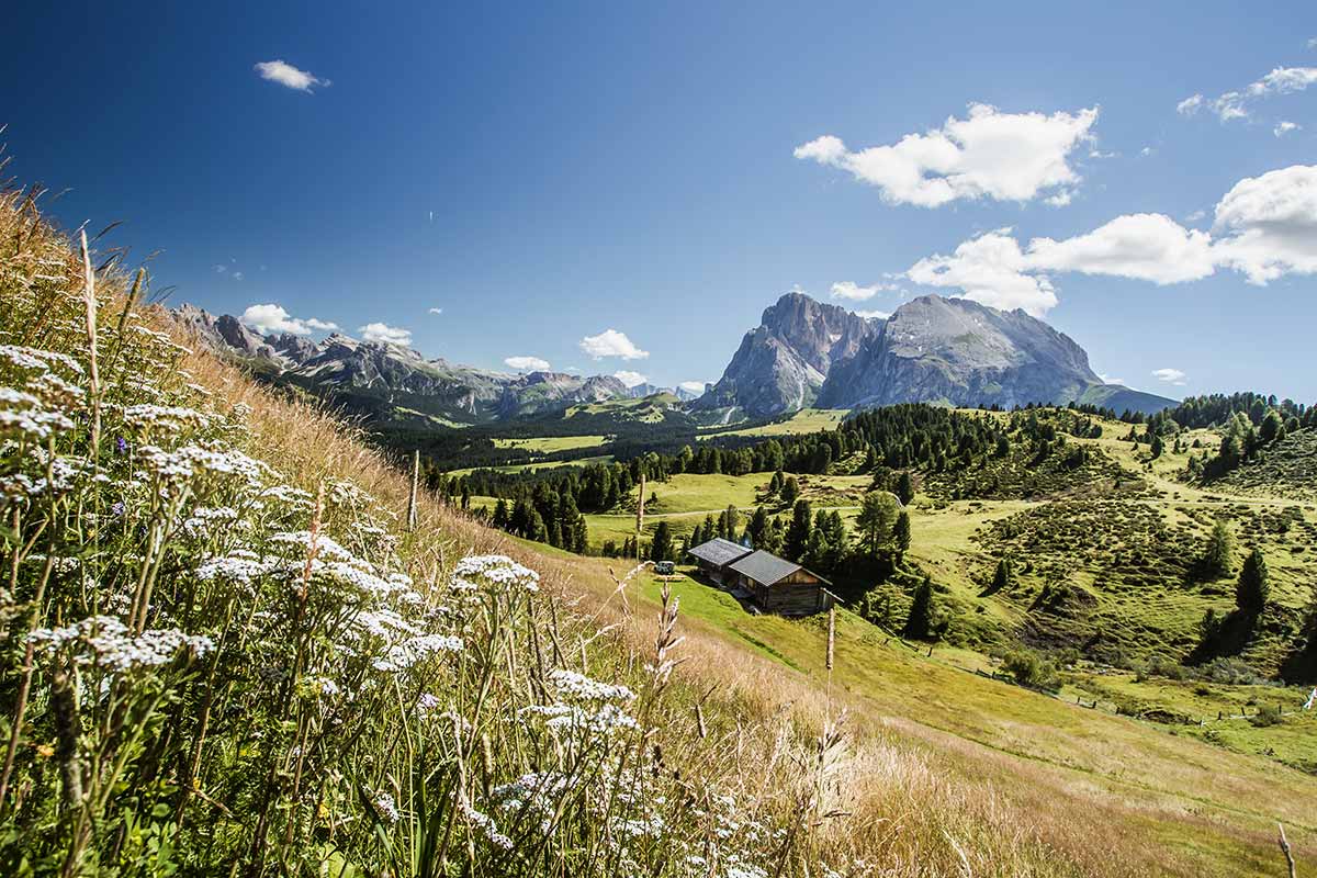 Sassolungo e Sasso Piatto