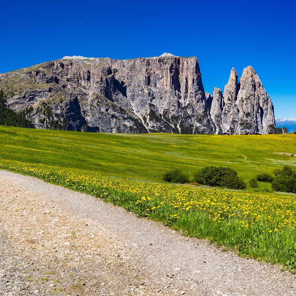 Alpe di Siusi