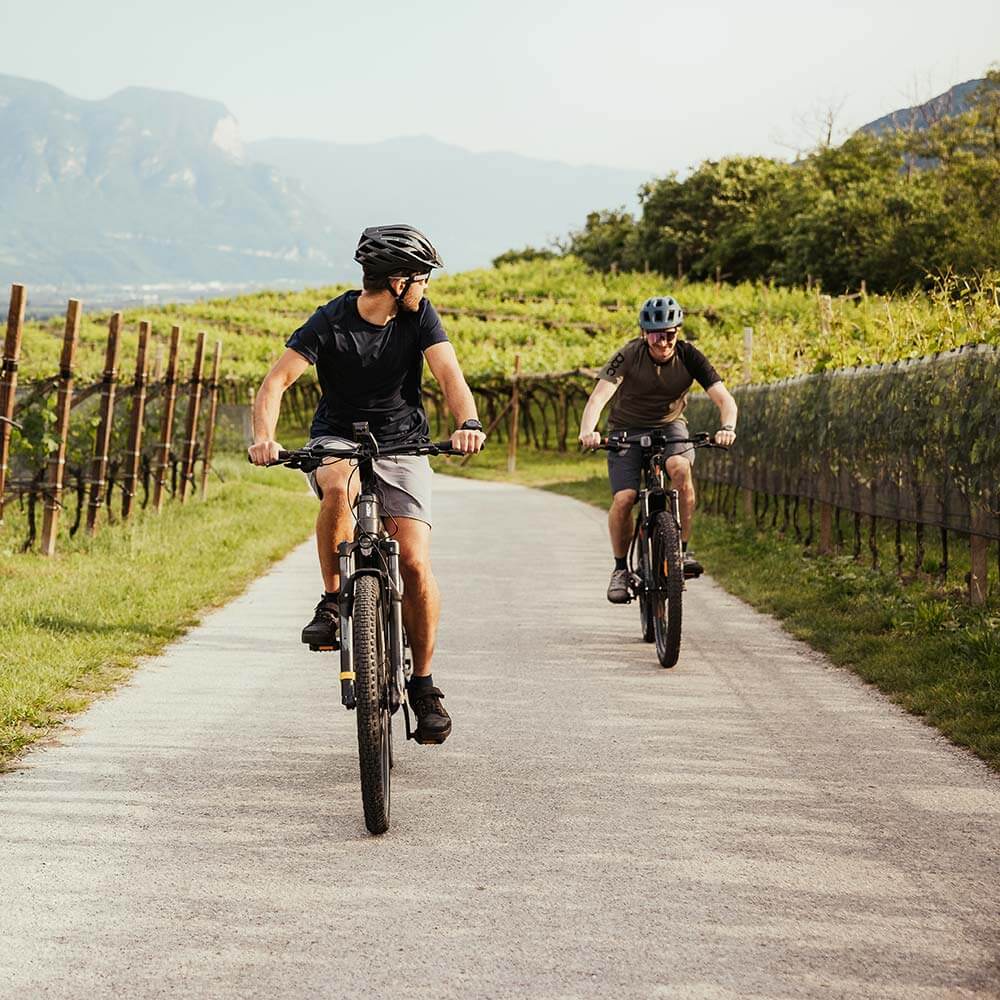 Regione vacanze Strada del Vino